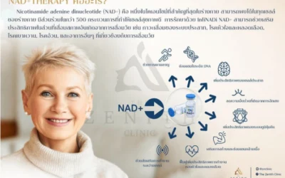 NAD+ Therapy คืออะไร? รวมทุกเรื่องต้องรู้ก่อนตัดสินใจทำ [อัปเดต 2024]