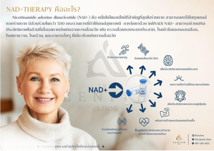 NAD+ Therapy คืออะไร? รวมทุกเรื่องต้องรู้ก่อนตัดสินใจทำ [อัปเดต 2024]